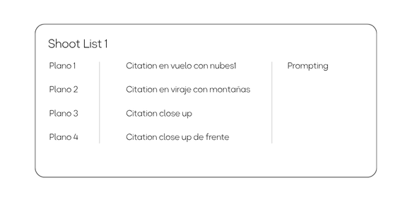Shoot list con el desglose de planos a generar: Citation en vuelo con nubes, en viraje con montañas, close up y close up de frente